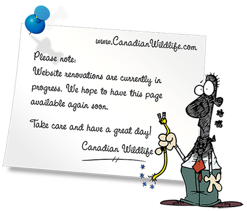 We are updating this page and it will be back soon! 