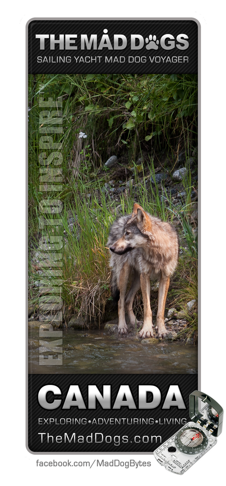 View wildlife albums from The Mad Dogs on TheMadDogs.com